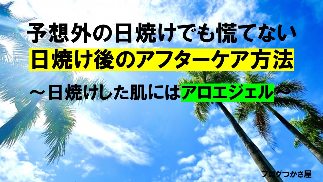 日焼けで肌がヒリヒリ アフターケアに アロエジェル が効果的な理由 フロントロウ 海外セレブ 海外カルチャー情報を発信 アフィアロエベラゲル落ち着く保湿抗にきびゲル回復日焼け後 Acores Com Br